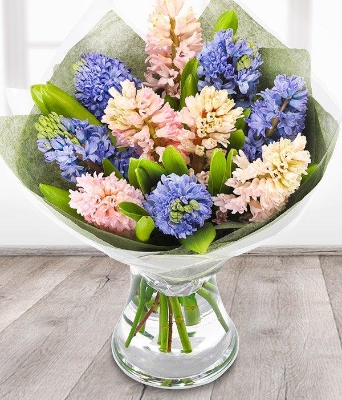 Hyacinths