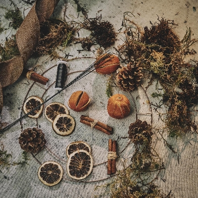 Forager Wreath Kit