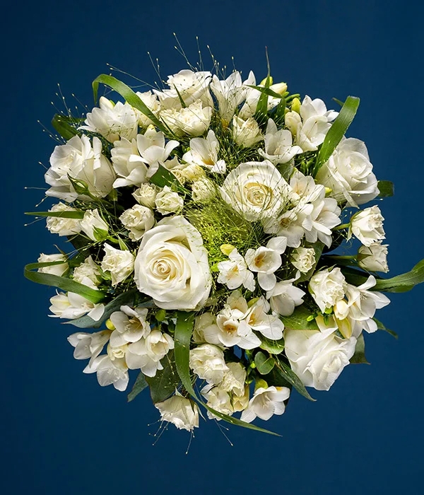 Classic White Roses