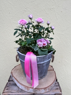 Pink Planter