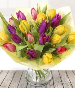 Colourful Tulips