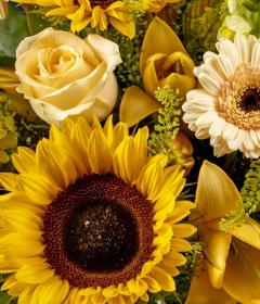 Luxury Sunflower Bouquet