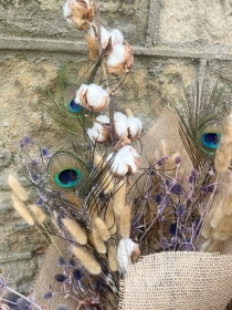 Peacock Meadow