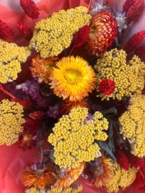 Autumn Spice