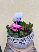 Plant and Bulb Planter